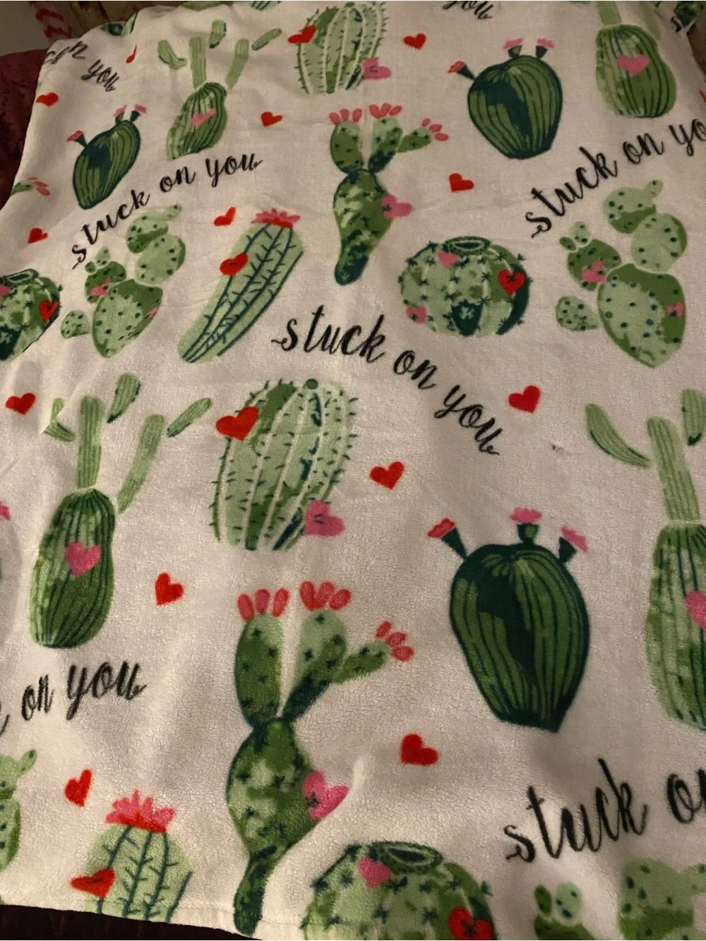 Cactus Print Plush Blanket - Stuck On You